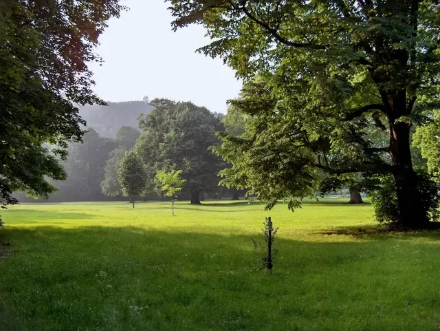 parc-hauster